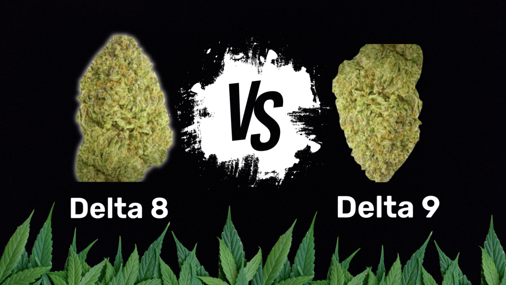 delta 9 vs delta 8